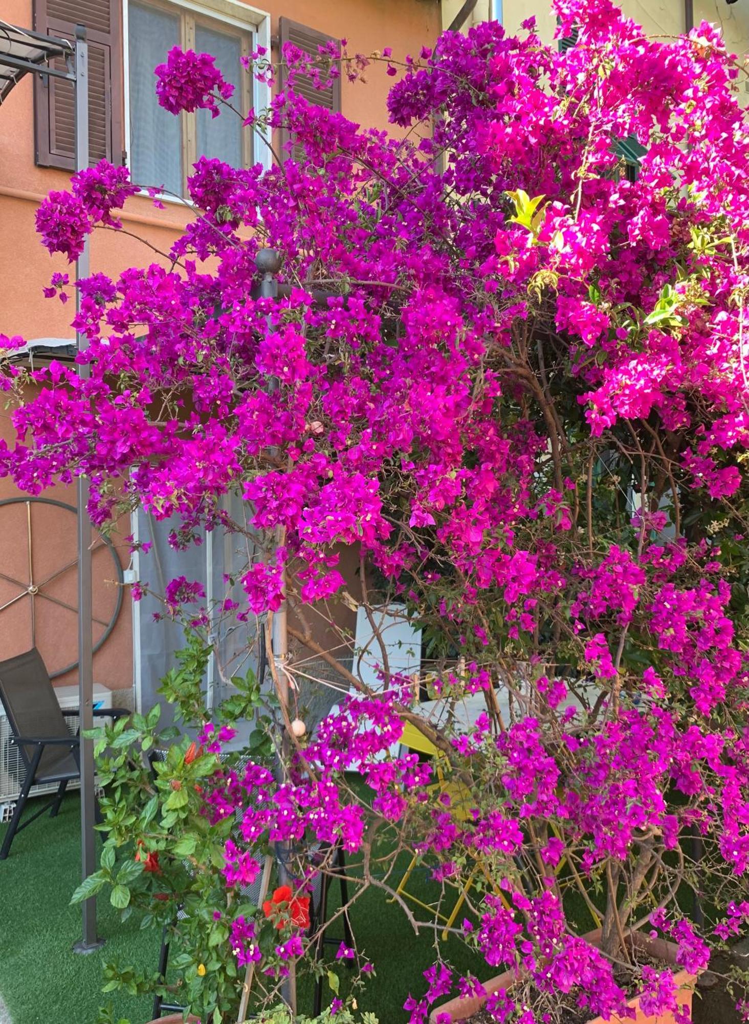 Appartamento Desiree La Spezia Esterno foto